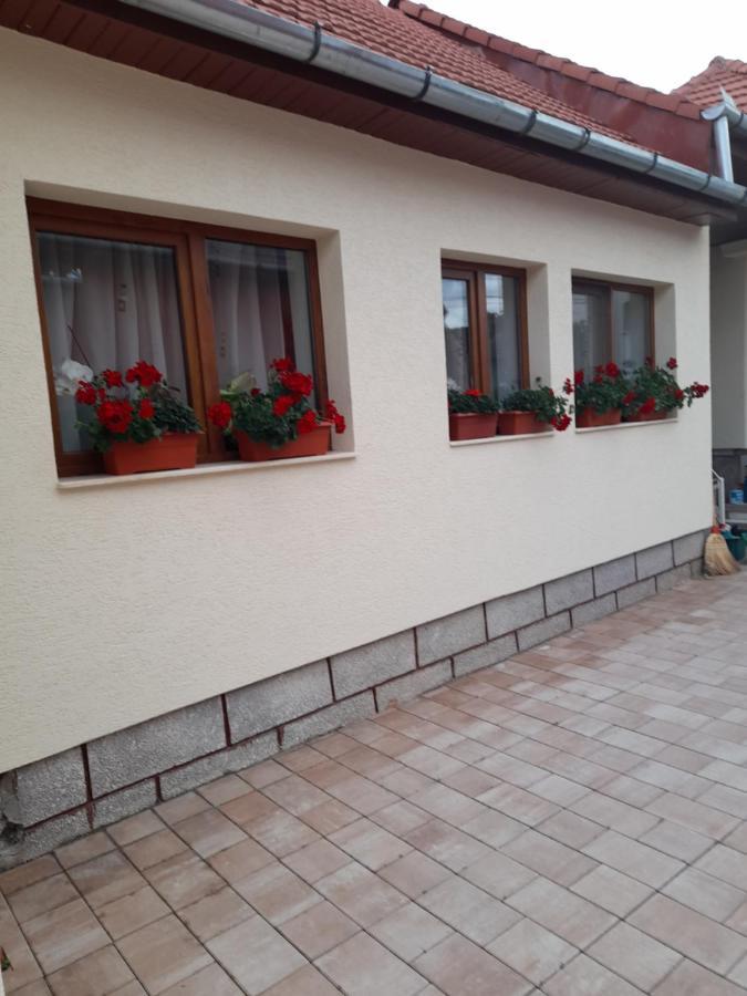 Casa Miki Hotel Haţeg Exterior foto