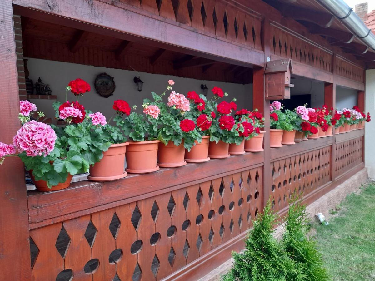 Casa Miki Hotel Haţeg Exterior foto